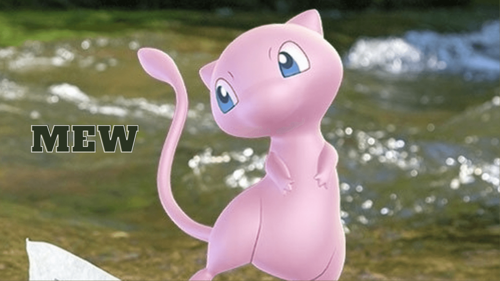 Mew